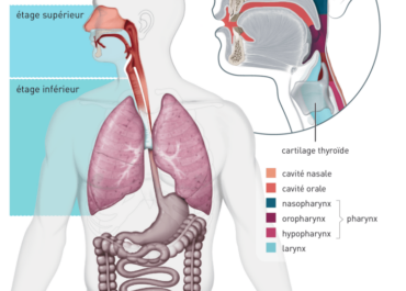 Conférence sur les cancers des voies aérodigestives supérieures (VADS) le 02/04/2024 à 20h00 - Caen